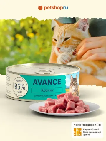 Avance для котят с кроликом 85%