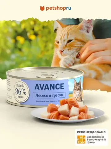 Avance Salmon&Cod для котят с лососем и треской