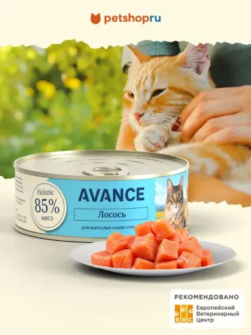 Avance для котят с лососем
