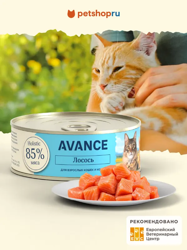 Avance для котят с лососем