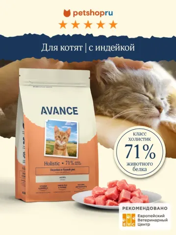 Avance Kitten с индейкой и бурым рисом