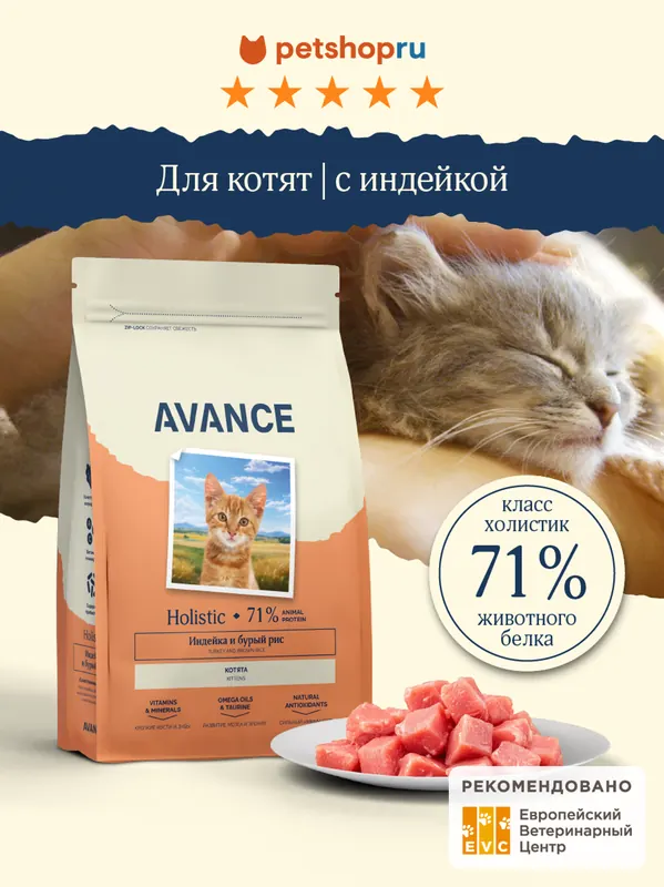 Avance Kitten с индейкой и бурым рисом