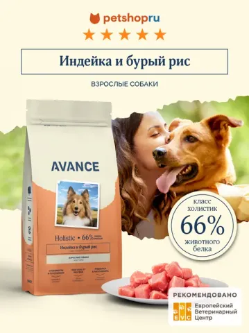Avance Adult с индейкой и бурым рисом
