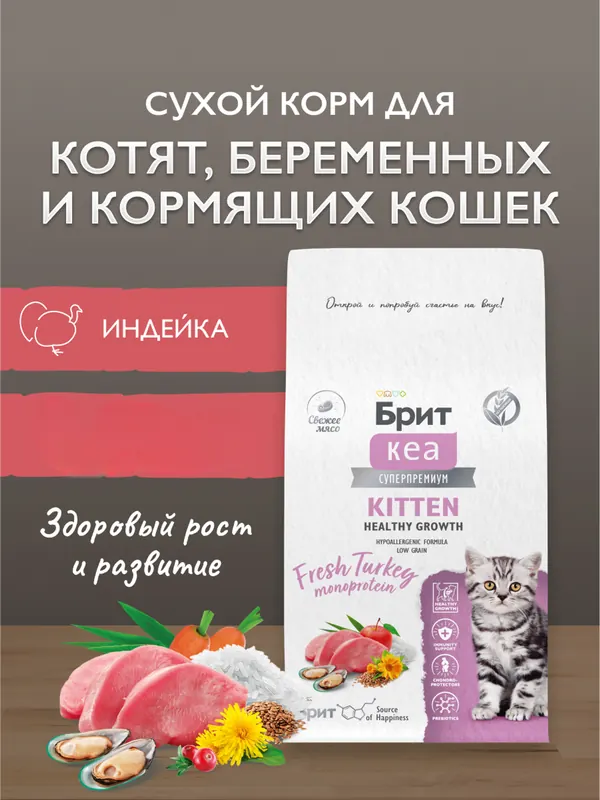 Brit с индейкой для котят и кормящих кошек