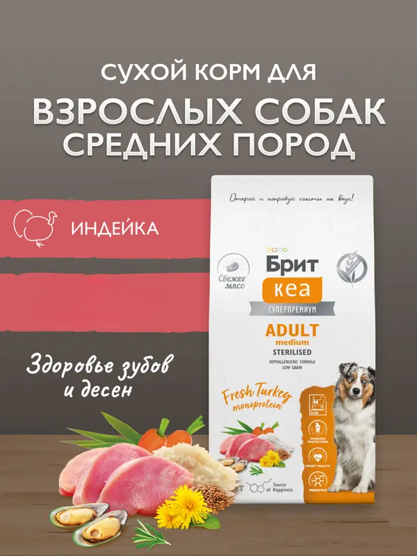 Brit Premium с индейкой для собак средних пород
