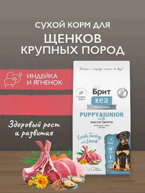 Brit с индейкой и ягнёнком для щенков крупных пород