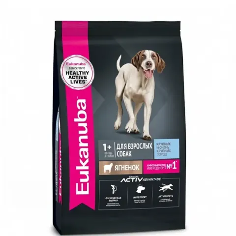 Eukanuba Adult Large Breed с ягнёнком