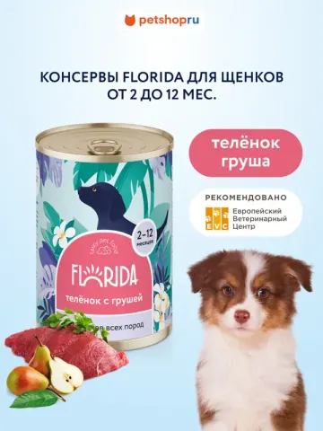 Florida консервы для щенков с телятиной и грушей