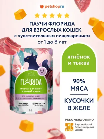 Florida паучи с лососем для чувствительного пищеварения