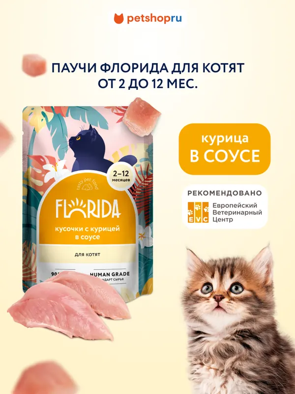 Florida паучи для котят с лососем в соусе