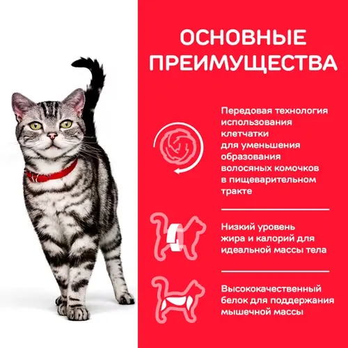 Hill’s Science Plan Hairball Indoor Adult с курицей