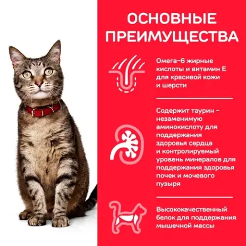 Hill’s Science Plan Adult с тунцом для кошек 1–6 лет