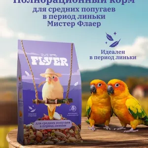 MR.Flyer для средних попугаев в период линьки