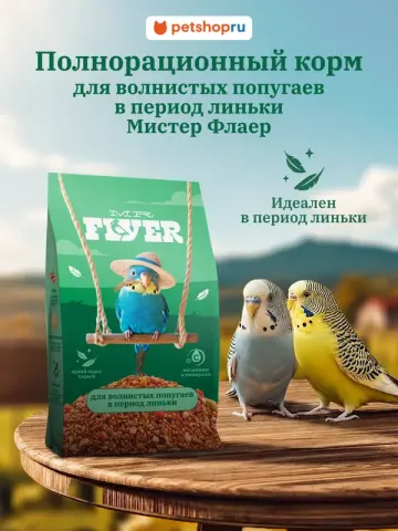 MR.Flyer для волнистых попугаев в период линьки