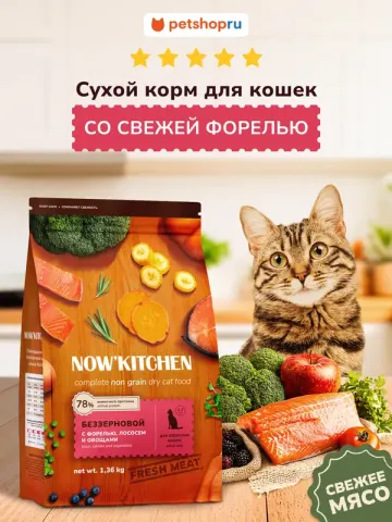 Now’kitchen Adult Grain-Free с форелью и лососем