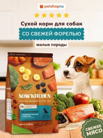 Now’kitchen Mini Adult Grain-Free с форелью и лососем