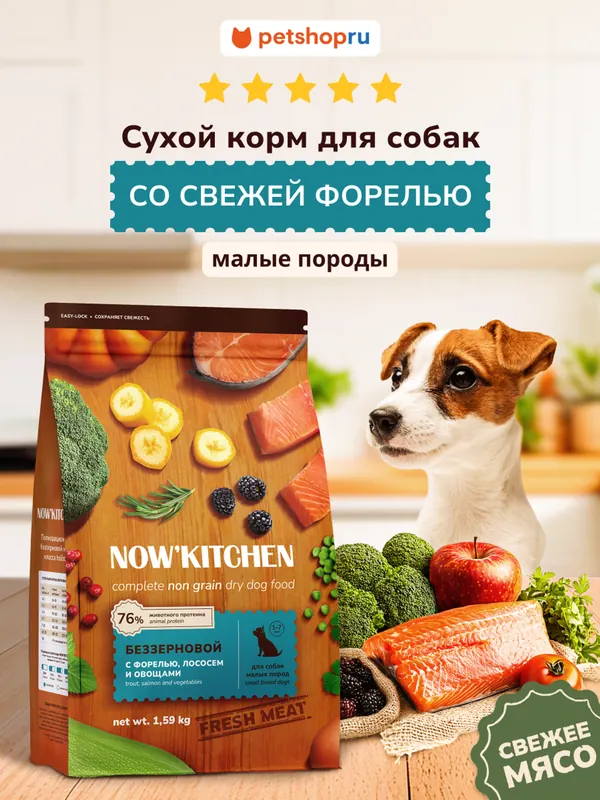Now’kitchen Mini Adult Grain-Free с форелью и лососем