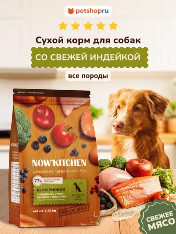 Now’kitchen Adult Grain-Free с индейкой, уткой и лососем