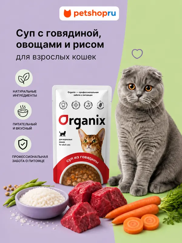 Organix суп с говядиной, овощами и рисом