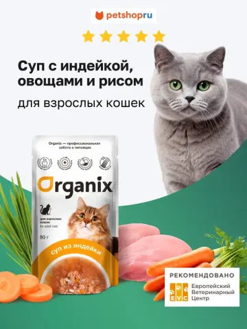 Organix суп с индейкой, овощами и рисом