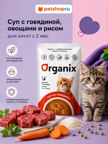 Organix Суп для котят с говядиной, овощами и рисом