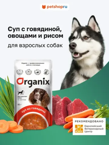Organix Суп с говядиной, овощами и рисом