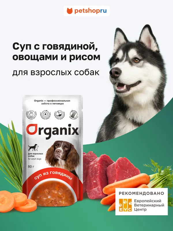 Organix Суп с говядиной, овощами и рисом