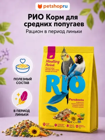 Рио для средних попугаев во время линьки