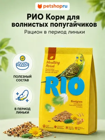 Рио для волнистых попугаев во время линьки