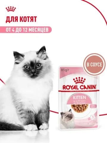 Royal Canin Kitten влажный, кусочки в желе