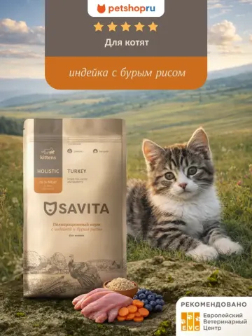 Savita Kitten с индейкой и бурым рисом